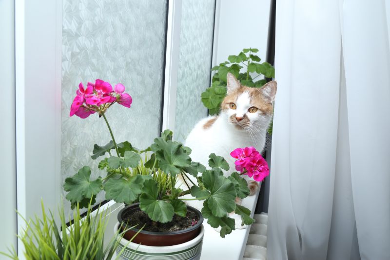 cat next to flower pot