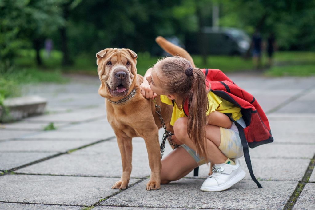 A girl saying bye to her dog before school.