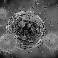 Virus cell attacking and destroying human cell abstract 3d illustration Virus cell attacking and destroying human cell abstract 3d illustration